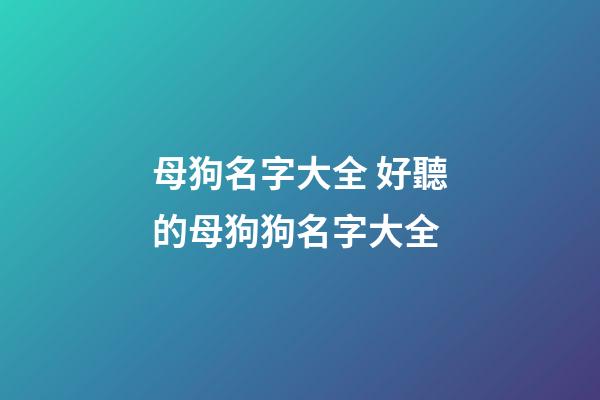 母狗名字大全 好聽的母狗狗名字大全